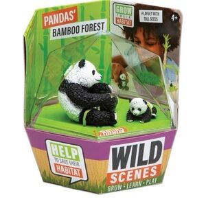 Panda Bamboo Forest Wild Scenes